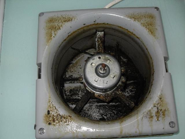 點擊在新窗口查看全圖