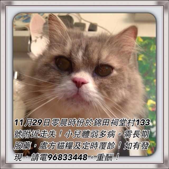 點擊在新窗口查看全圖