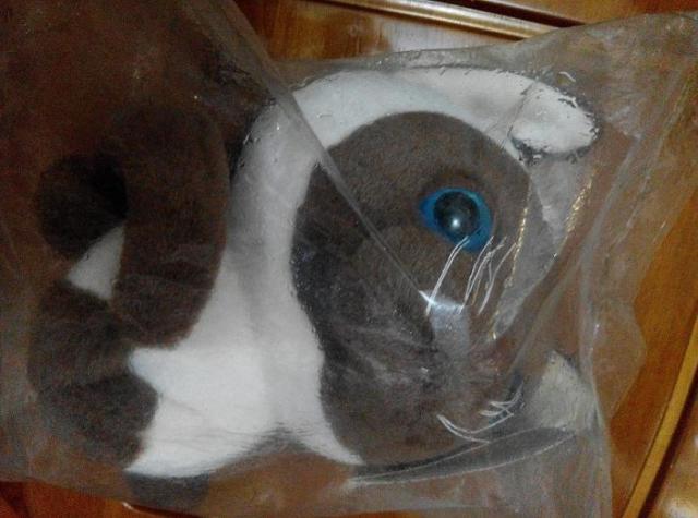 點擊在新窗口查看全圖