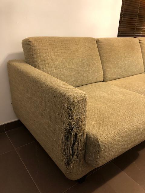 點擊在新窗口查看全圖