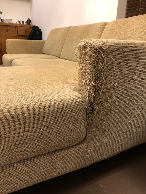 點擊在新窗口查看全圖