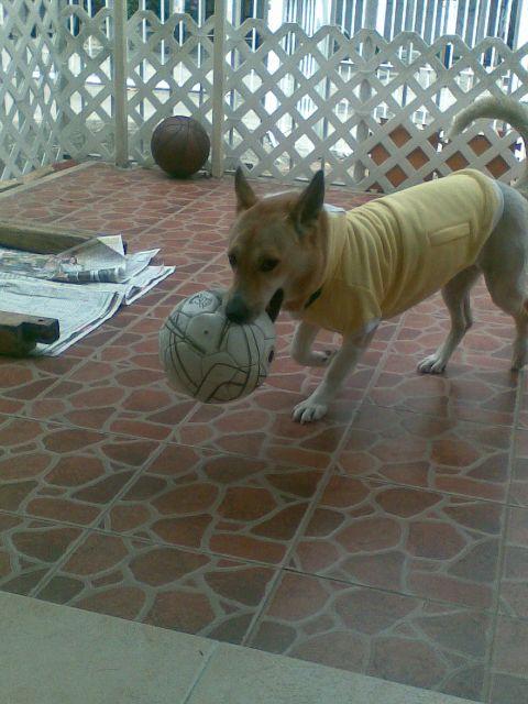 點擊在新窗口查看全圖