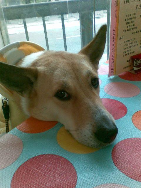 點擊在新窗口查看全圖