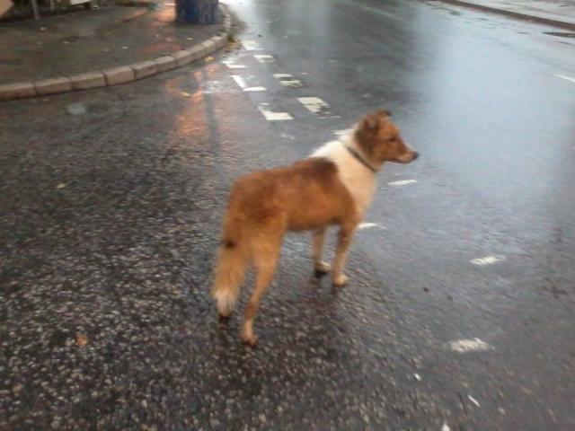 點擊在新窗口查看全圖