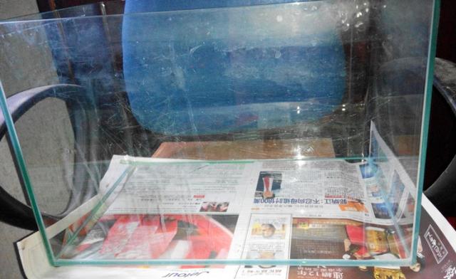 點擊在新窗口查看全圖