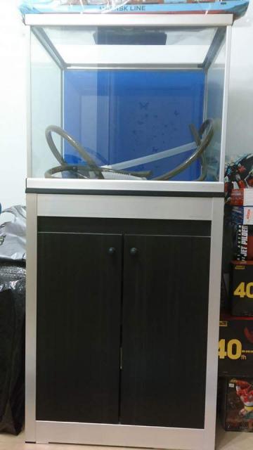 點擊在新窗口查看全圖