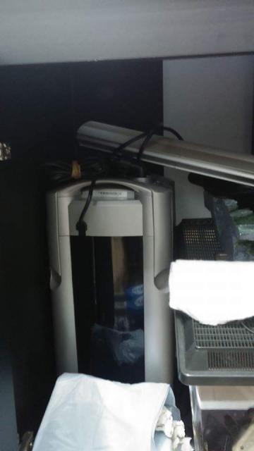 點擊在新窗口查看全圖