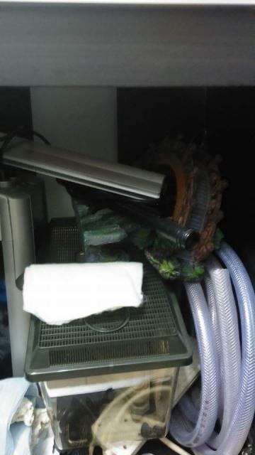 點擊在新窗口查看全圖