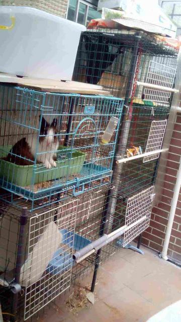 點擊在新窗口查看全圖