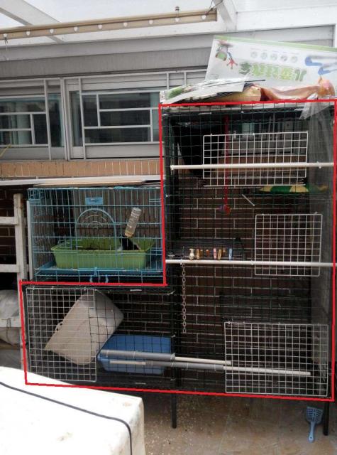 點擊在新窗口查看全圖