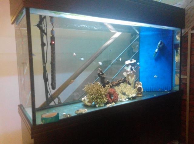 點擊在新窗口查看全圖