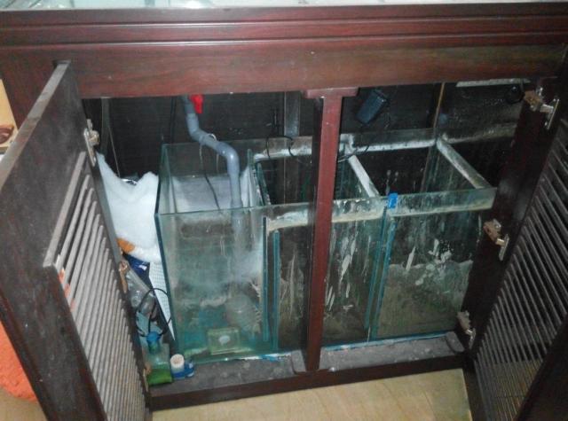 點擊在新窗口查看全圖