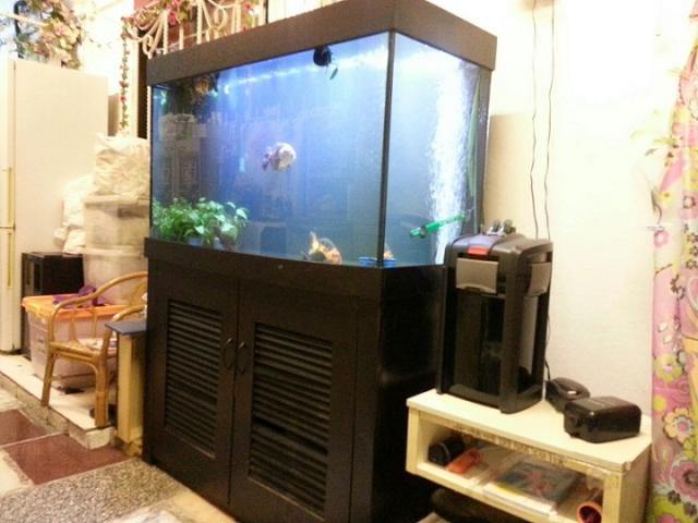 點擊在新窗口查看全圖