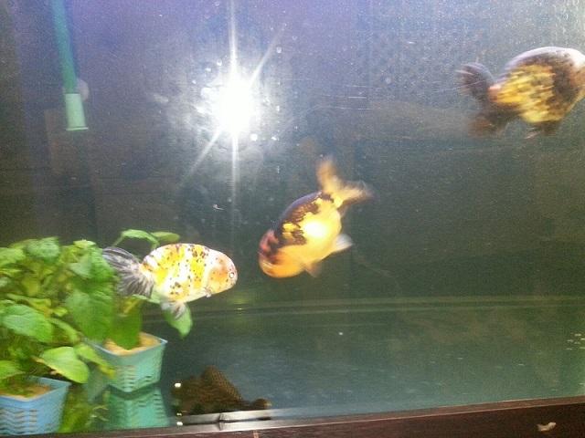 點擊在新窗口查看全圖