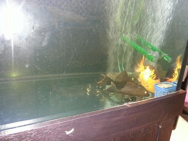 點擊在新窗口查看全圖