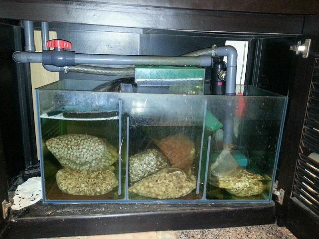 點擊在新窗口查看全圖