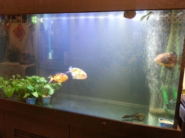 點擊在新窗口查看全圖