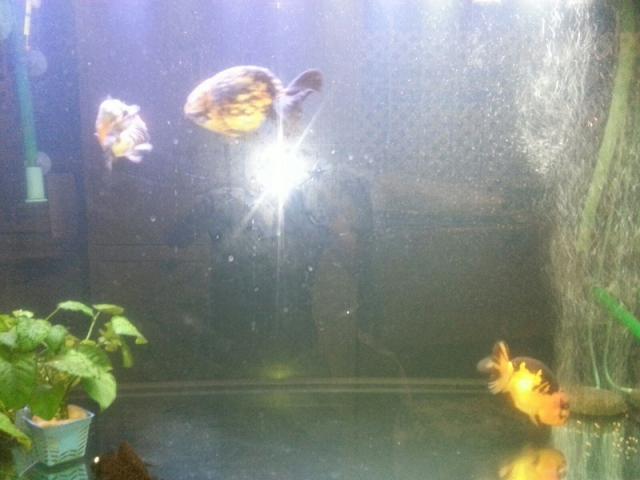 點擊在新窗口查看全圖