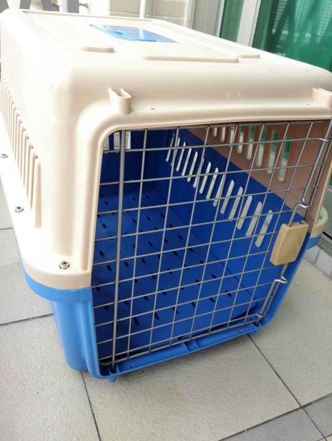 點擊在新窗口查看全圖