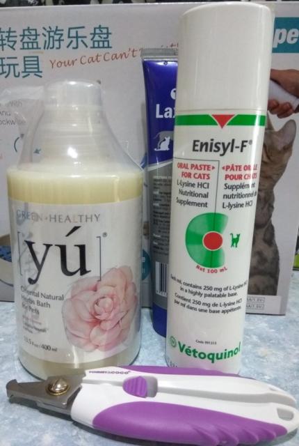 點擊在新窗口查看全圖