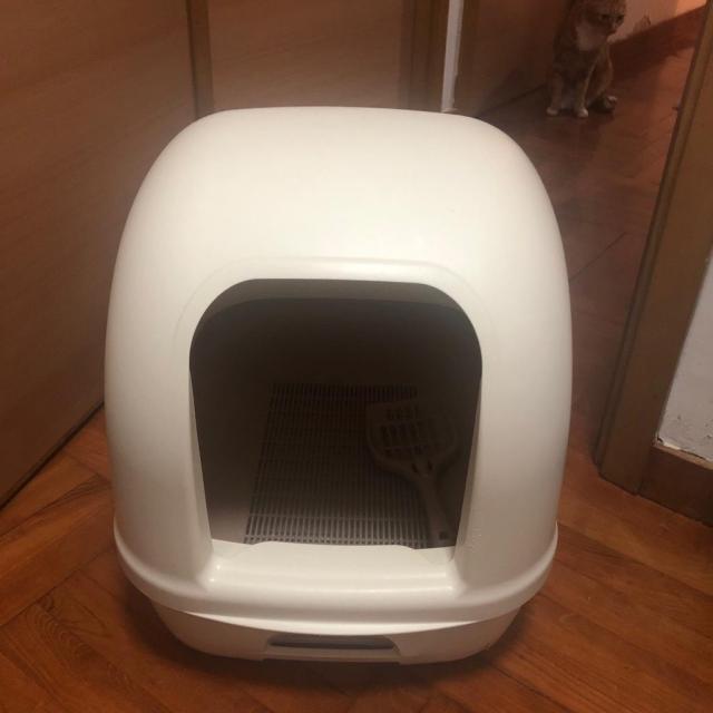 點擊在新窗口查看全圖