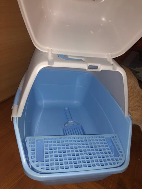 點擊在新窗口查看全圖